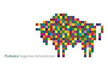 Podlaska Marka Roku. Konsumenci wybierają swoich faworytów