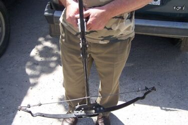 Leśnicy odnaleźli w lasach 205 wnyków