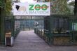 W Akcencie ZOO znaleziono bombę