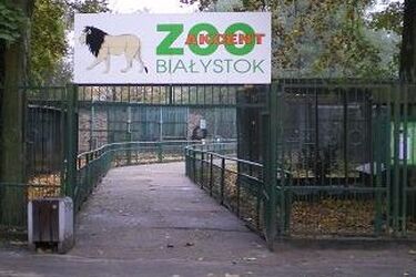 W Akcencie ZOO znaleziono bombę