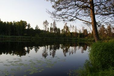 Podlaskie: 44 mln zł do podziału na rozwój turystyki