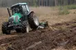 W podlaskich lasach pojawią się nowe drzewka