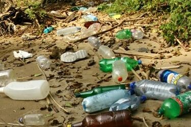 W lesie przy Ciołkowskiego jest pełno dzikich wysypisk