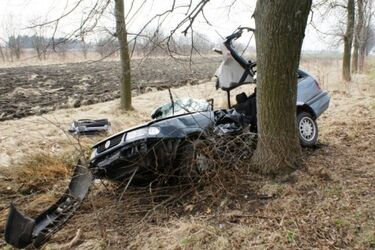 Poślizg i zderzenie z drzewem. Kierowca zginął na miejscu
