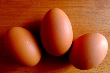 Nie marnuj jedzenia. Jak uniknąć błędów przy świątecznych przygotowaniach?