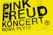 Pink Freud w Famie. Grupa powraca z nowym materiałem [wideo]