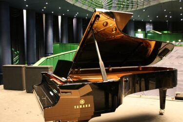 Nowy fortepian w OiFP. To instrument klasy mistrzowskiej