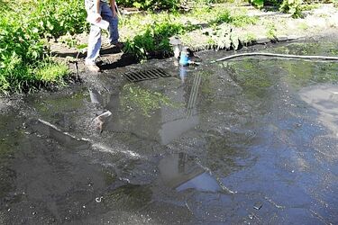 Białystok: oszczędzał na szambie, może stanąć przed sądem