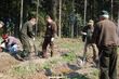 Nowe drzewa w podlaskich lasach. Leśnicy posadzili ponad 28 milionów sadzonek