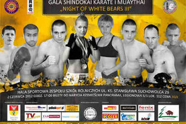 W sobotę odbędzie się Gala shindokai karate i muaythai