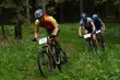 Maratony Kresowe - Dzika Puszcza czeka w Michałowie