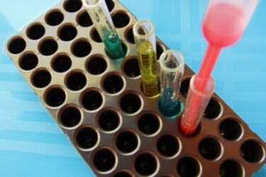 Kolejne osoby bezpłatnie przebadają nerki