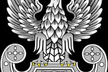 15 czerwca odbędzie się pokaz szkoleniowy Związku Strzeleckiego "Strzelec" OSW