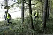 W lesie odnaleziono zagioninego 71-latka
