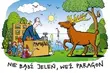 Wakacyjna akcja będzie zachęcać do brania paragonów