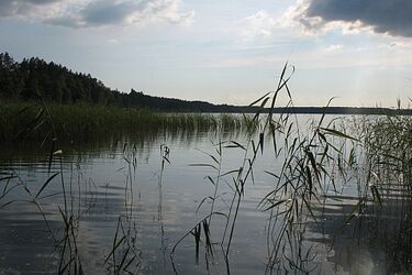 Dwóch braci utonęło w augustowskim jeziorze