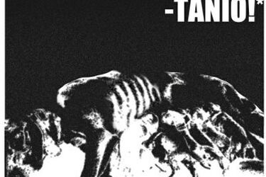 "Psia mać" ma zniechęcić do kupowania psów z nielegalnych hodowli