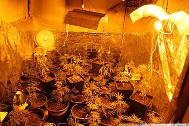 Dwaj białostoczanie dokonali serii rozbojów. Wpadli w ręce policji