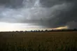 Meteorolodzy ostrzegają przed burzami z gradem