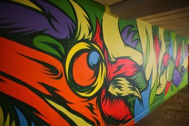 Zgłoś miejsce na Podlasiu, które potrzebuje koloru. Niech zawita do nas kolorowa rewolucja