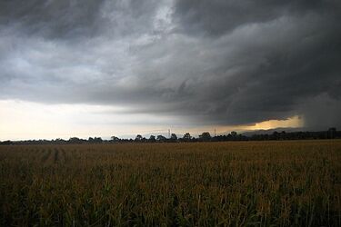 Kolejne ostrzeżenie przed burzami, lokalnie nawet z gradem