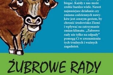 Moje rady nie tylko na odpady. Konkurs na komiks