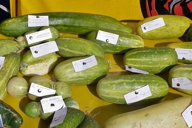 Ogórkowe święto w Kruszewie - już w niedzielę