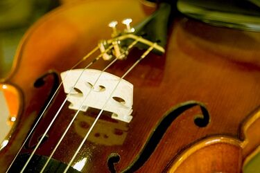 Utwory Mozarta, Bacha i Paganiniego rozbrzmią w salach Ratusza