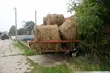 Kobieta zginęła pod kołami przyczepy 
