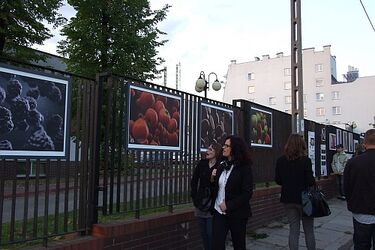 Galeria na Płocie przenosi w inny wymiar 