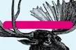 Kino skandynawskie nie tylko dla dzieci. Przegląd w kinie Forum
