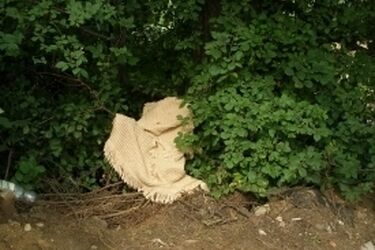 Ogrody - rodzinne warsztaty w Galerii Arsenał