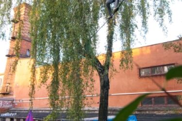 Podwórkowy Dom Kultury: filmowo-muzyczny finał