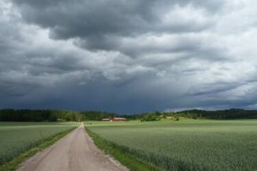 Podlaskie. Uwaga! Będzie wiało