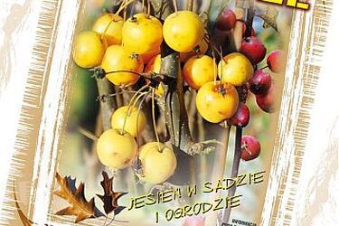Drzewa, krzewy, rośliny, czyli Targi Ogrodnicze w Szepietowie