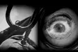 Camera!ta - pierwsza edycja muzyczno-filmowego festiwalu OiFP