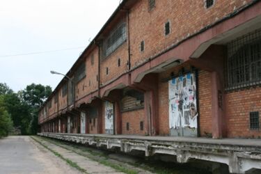 Warsztaty bębniarskie na Węglowej