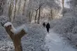 Podlasie gotowe, by pomagać potrzebującym zimą