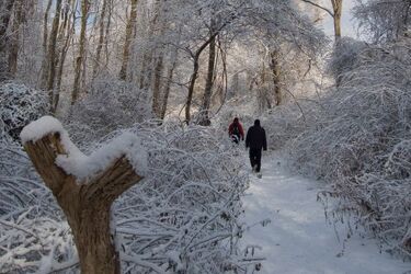 Podlasie gotowe, by pomagać potrzebującym zimą