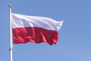Przytulajmy się, świętując niepodległość. Happening "Obejmij Polskę. 11.11. - Lubię Cię" na Rynku Kościuszki