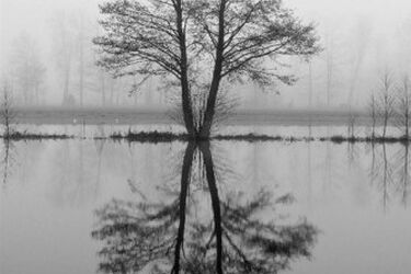 Wystawa Białostockiej Grupy Fotograficznej po raz ósmy