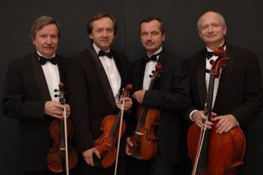 Camerata w Pałacu Branickich. Wieczór z muzyką poważną