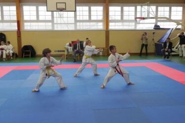 Brązowe medale karateków Shoguna Białystok