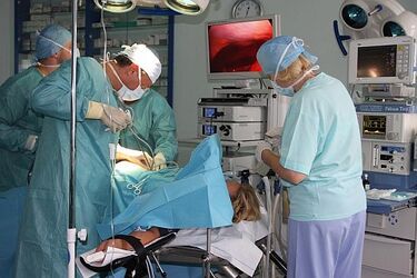 Białostoccy ortopedzi jako jedyni w tej części Polski pracują na komórkach macierzystych