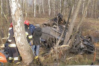 Region: tragiczne uderzenie w drzewo. Na miejscu zginęło 5 osób [wideo]