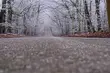 Synoptycy ostrzegają przed śliskimi drogami