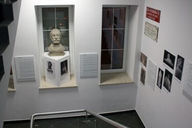 Nie od razu pomnik Ludwika Zamenhofa zbudowano. Historię przypomina wystawa w CLZ