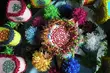 Skansen nauczy wykonywać gwiazdy kolędnicze