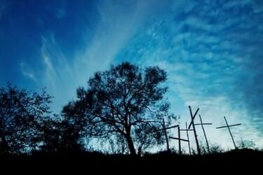 Cząstka Podlasia. Zobacz trailer filmu o naszym regionie [wideo]