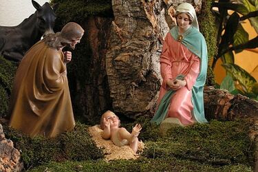 Bożonarodzeniowe zajęcia u Karnego. Trwają zapisy